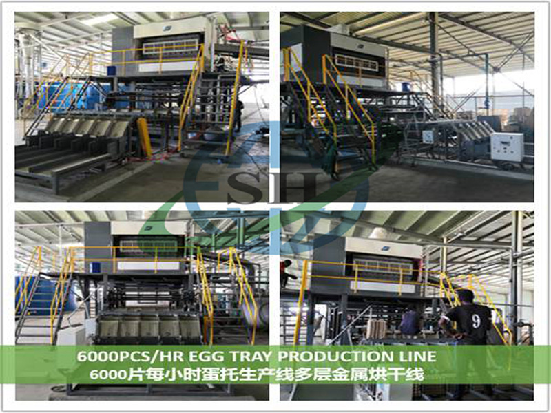 双环年产值1000万蛋托项目在西非顺利投产